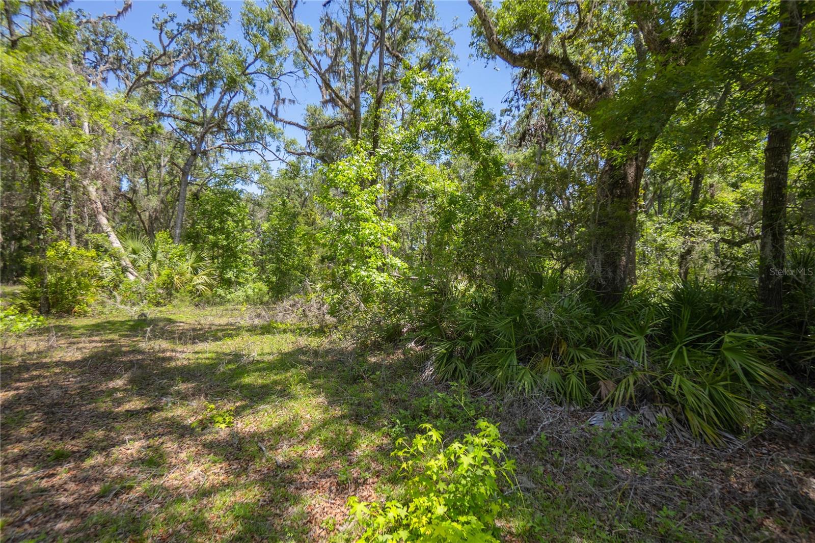 Image 5 of 24 For 105 239th Avenue