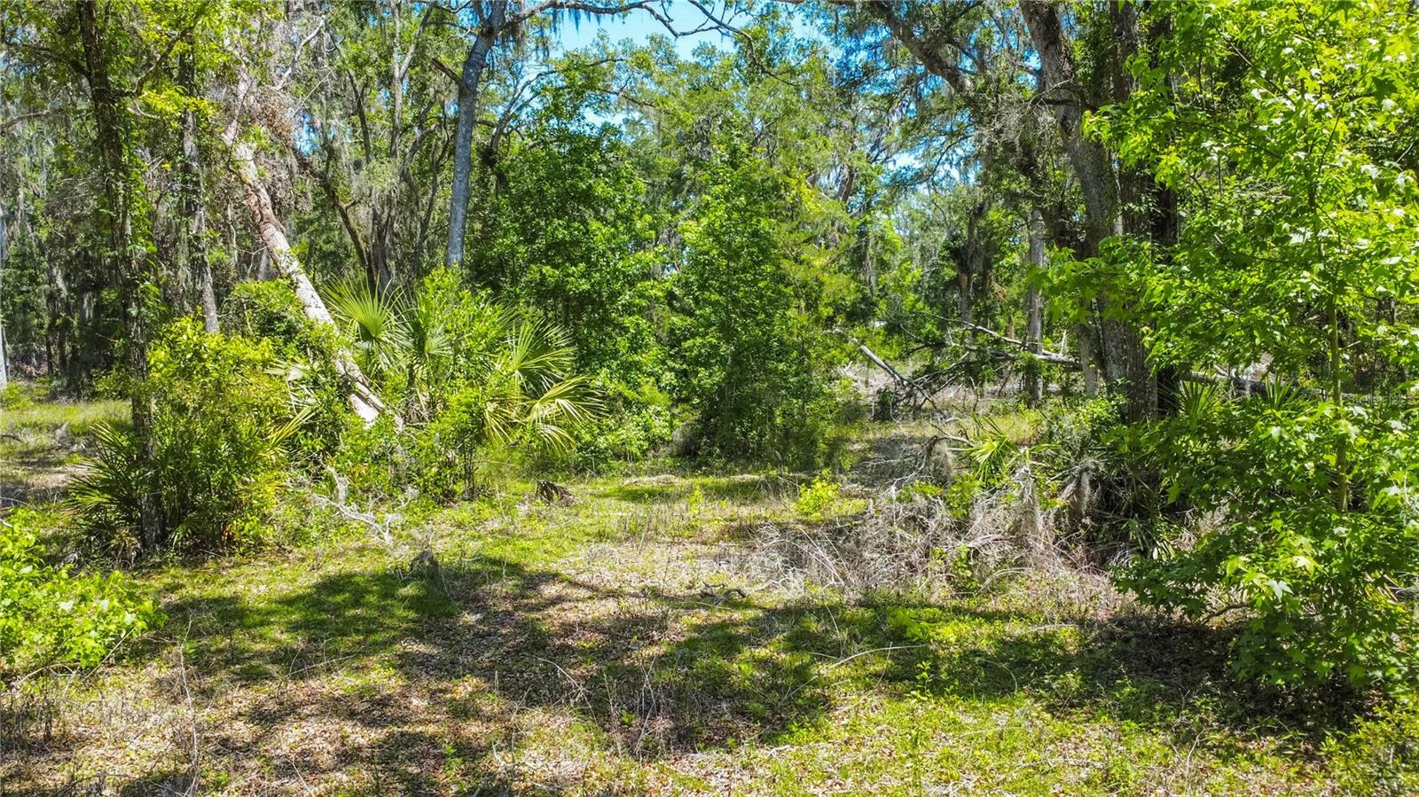 Image 8 of 24 For 105 239th Avenue