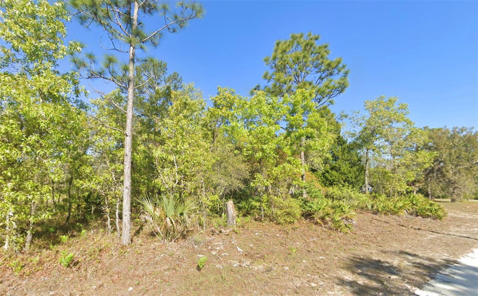 Image 3 of 6 For Address Not Provided