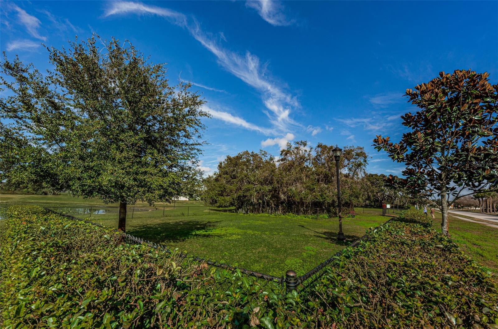 Image 91 of 99 For 14008 Lugano Court