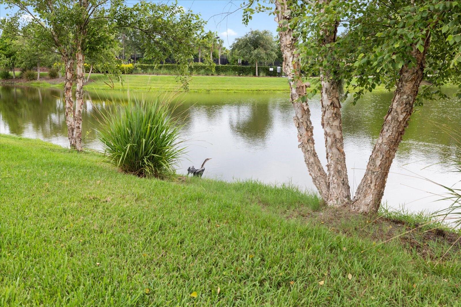 Listing photo id 55 for 11398 Juglans Drive