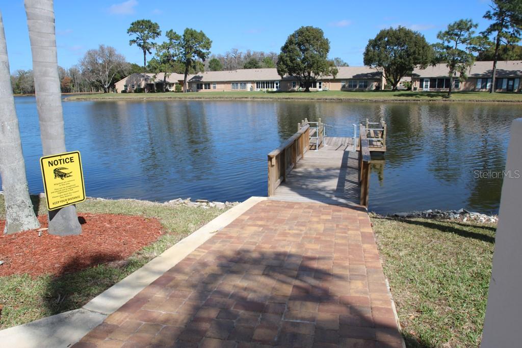 Listing photo id 29 for 9334 Whitstone Court
