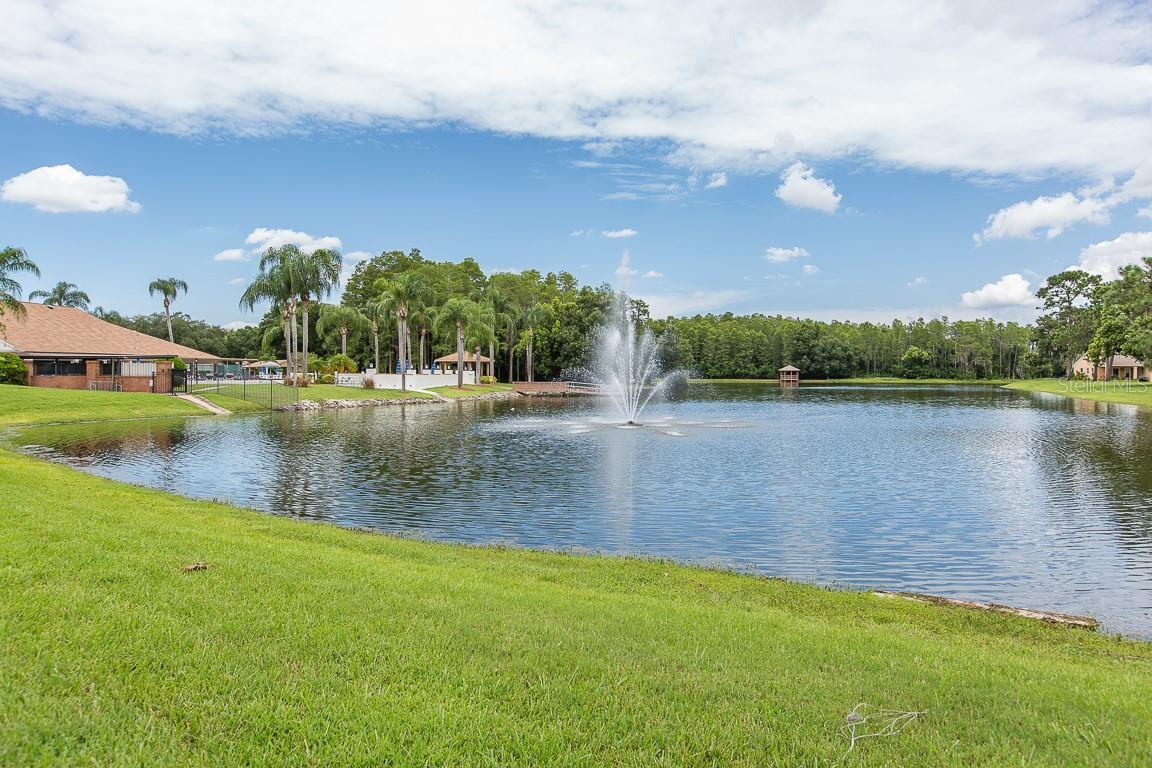 Listing photo id 31 for 9334 Whitstone Court