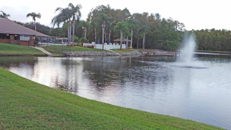 Listing photo id 38 for 9334 Whitstone Court