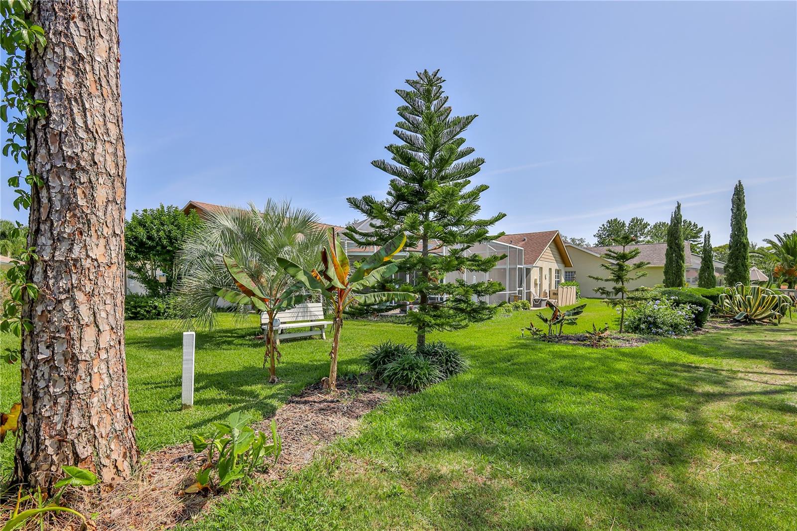 Listing photo id 73 for 8132 Summersong Court