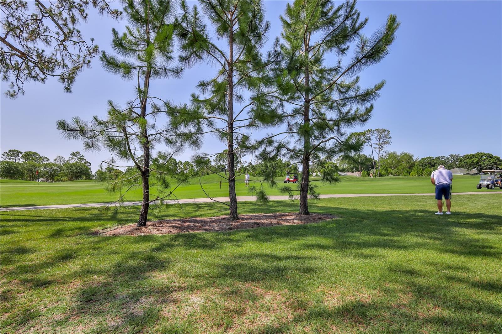Listing photo id 76 for 8132 Summersong Court