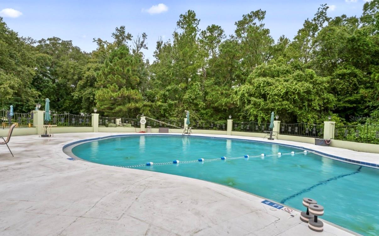 Image 44 of 49 For 18062 Carrolwood Drive