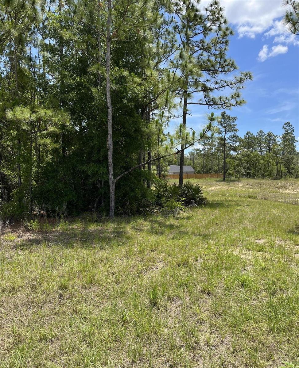 Details for 0 Celeste {lot6} Avenue, WEEKI WACHEE, FL 34614