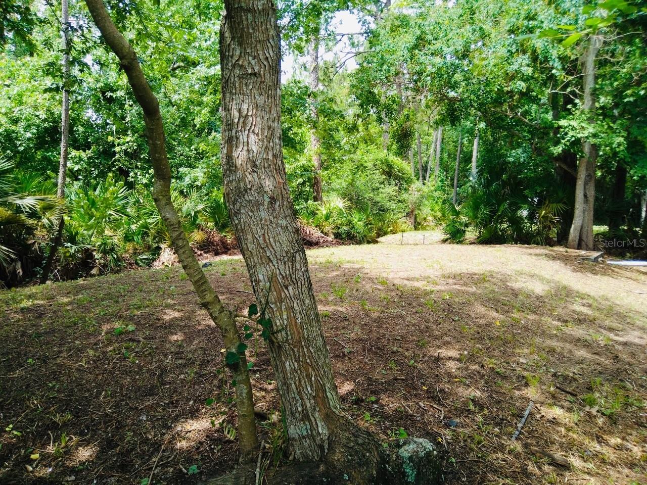 Image 3 of 6 For 867 Collier Boulevard