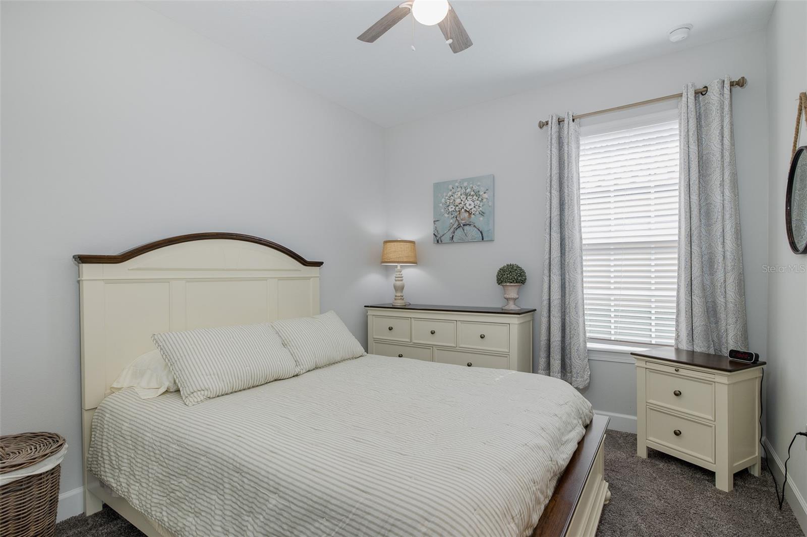 Listing photo id 22 for 3051 Francoa Drive