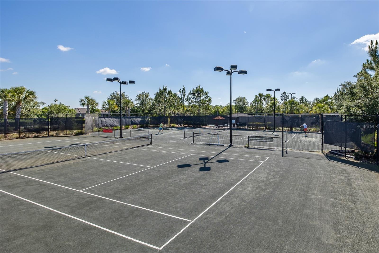 Listing photo id 87 for 3051 Francoa Drive