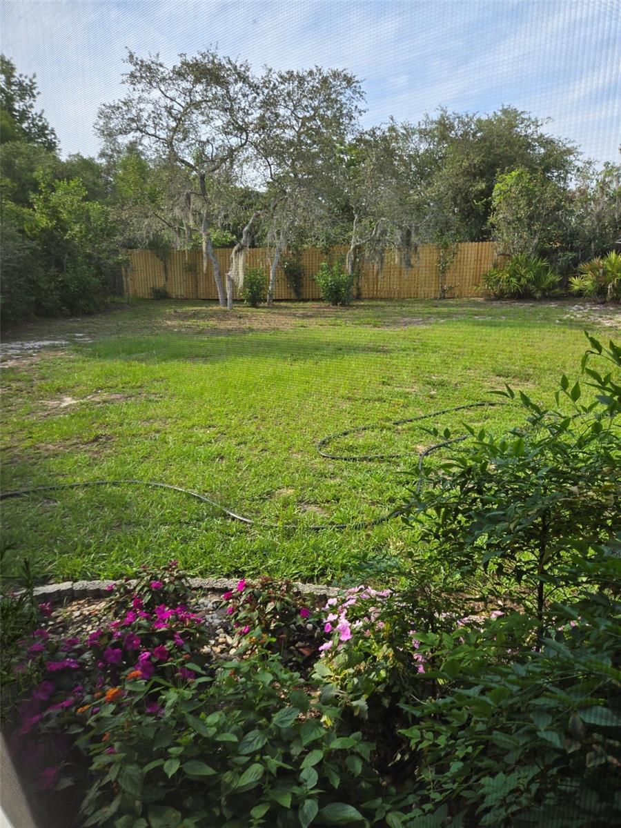 Listing photo id 29 for 6197 Belkton Avenue