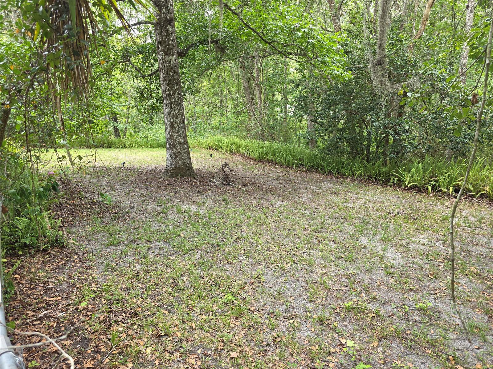 Image 41 of 52 For 7323 Ray Browning Road