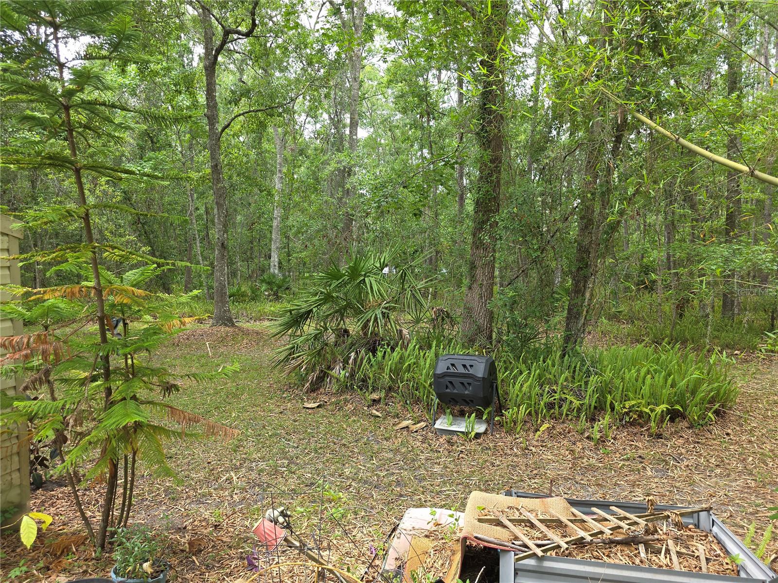 Image 46 of 52 For 7323 Ray Browning Road