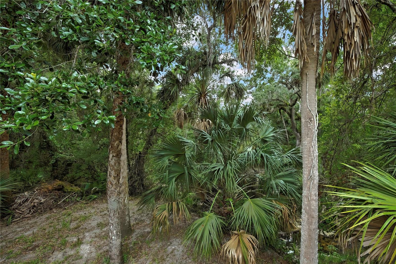 Image 17 of 72 For 5747 Fieldspring Avenue