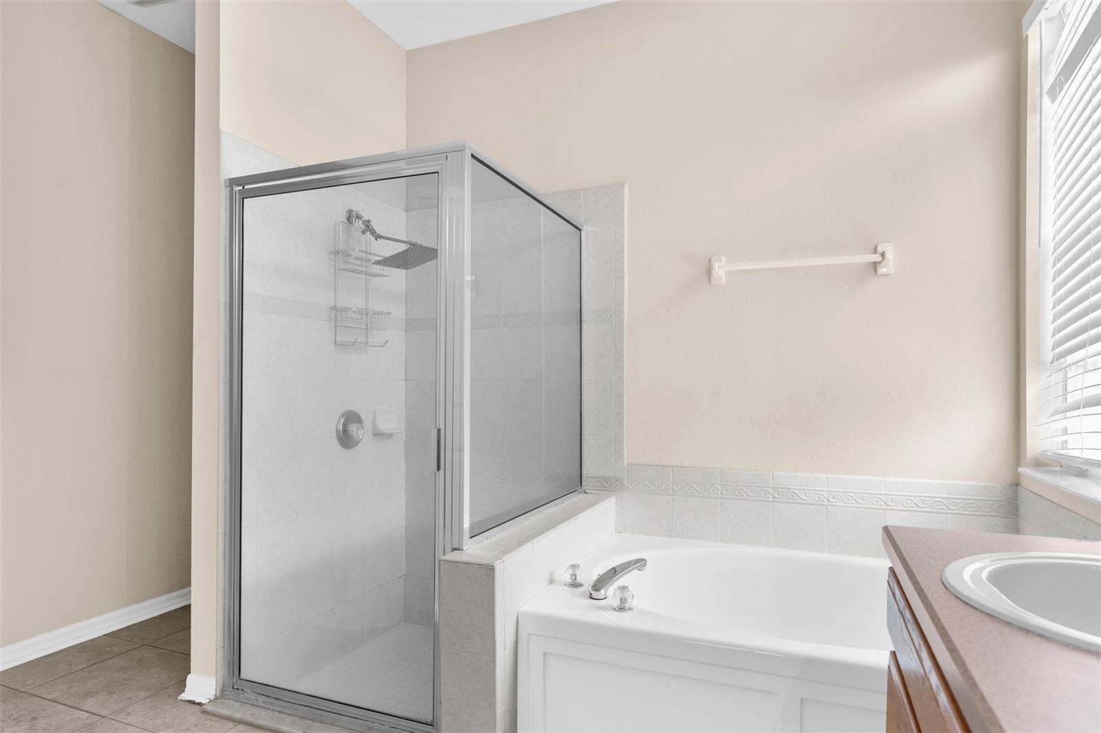 Image 24 of 41 For 10723 Eveningwood Court