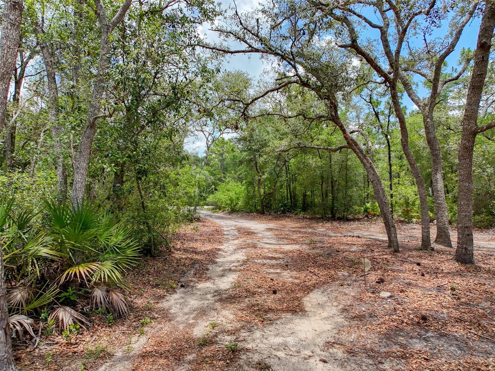 Image 90 of 95 For 34335 Berryhill Drive