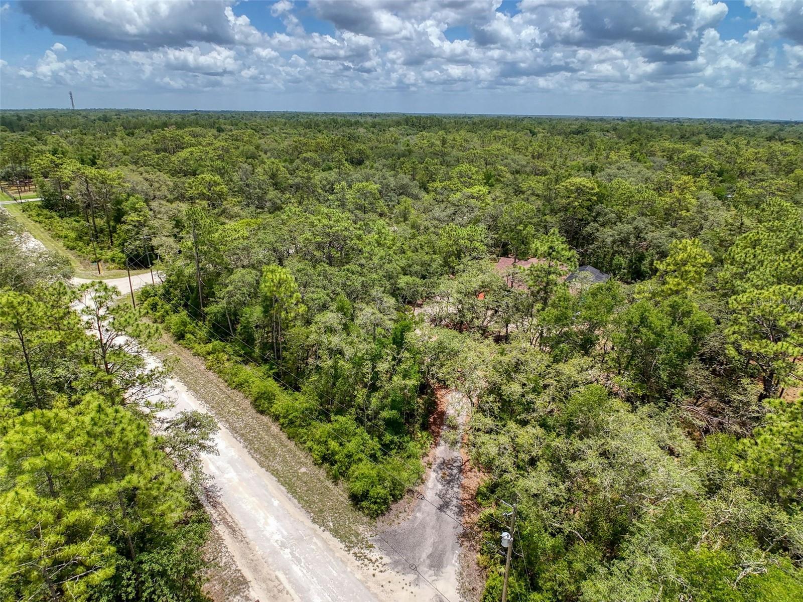Image 92 of 95 For 34335 Berryhill Drive