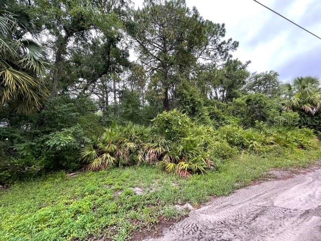 Image 6 of 7 For 8663 Nicci Ln