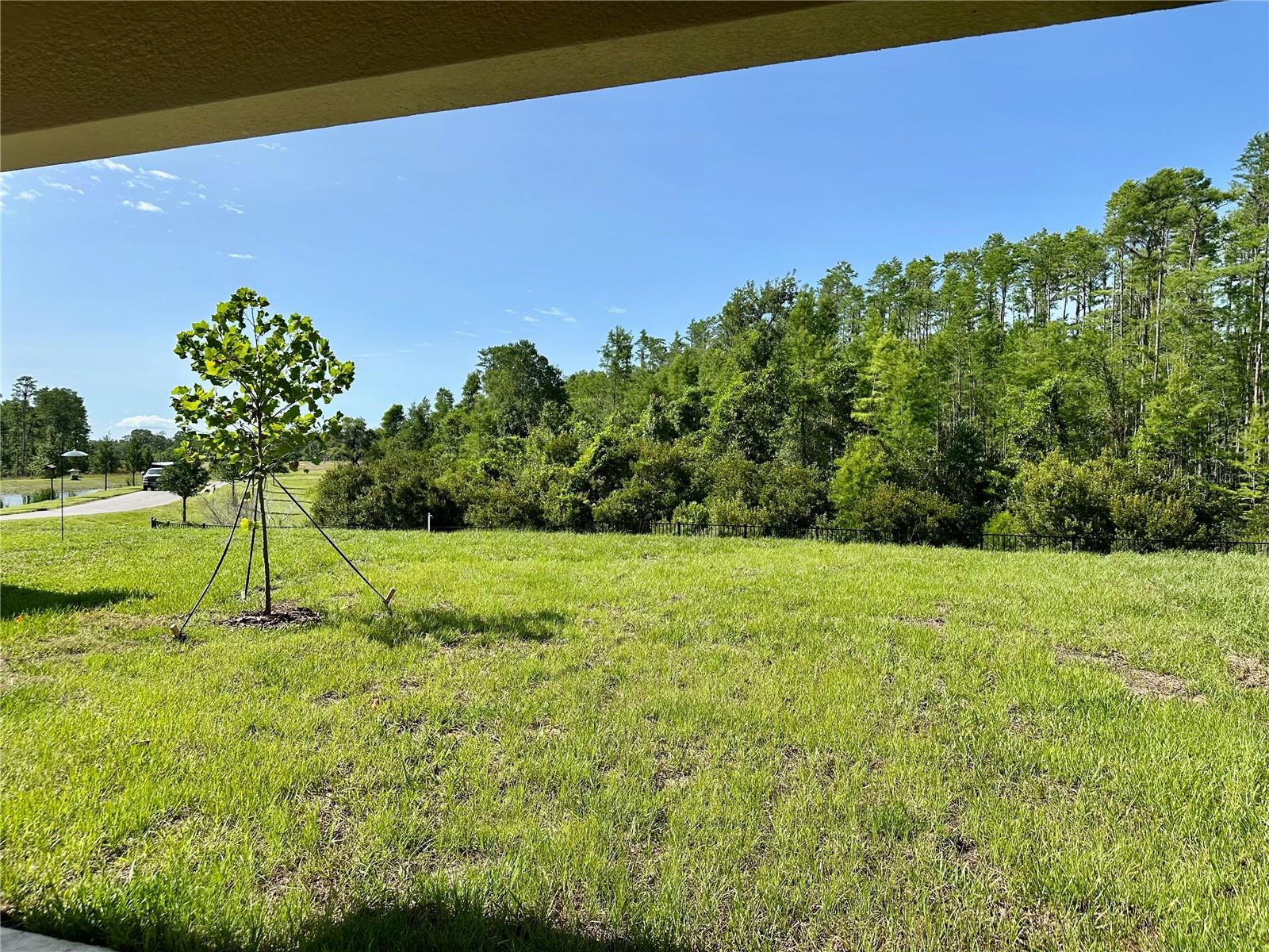 Image 44 of 49 For 17606 Happytrails Street