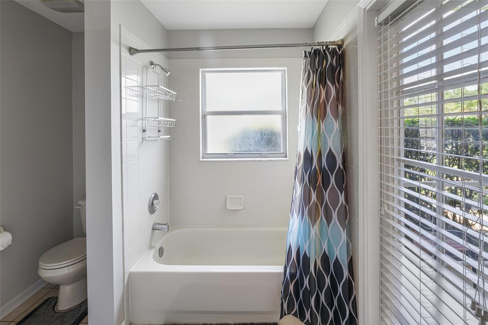 Listing photo id 40 for 22316 Red Jacket Lane