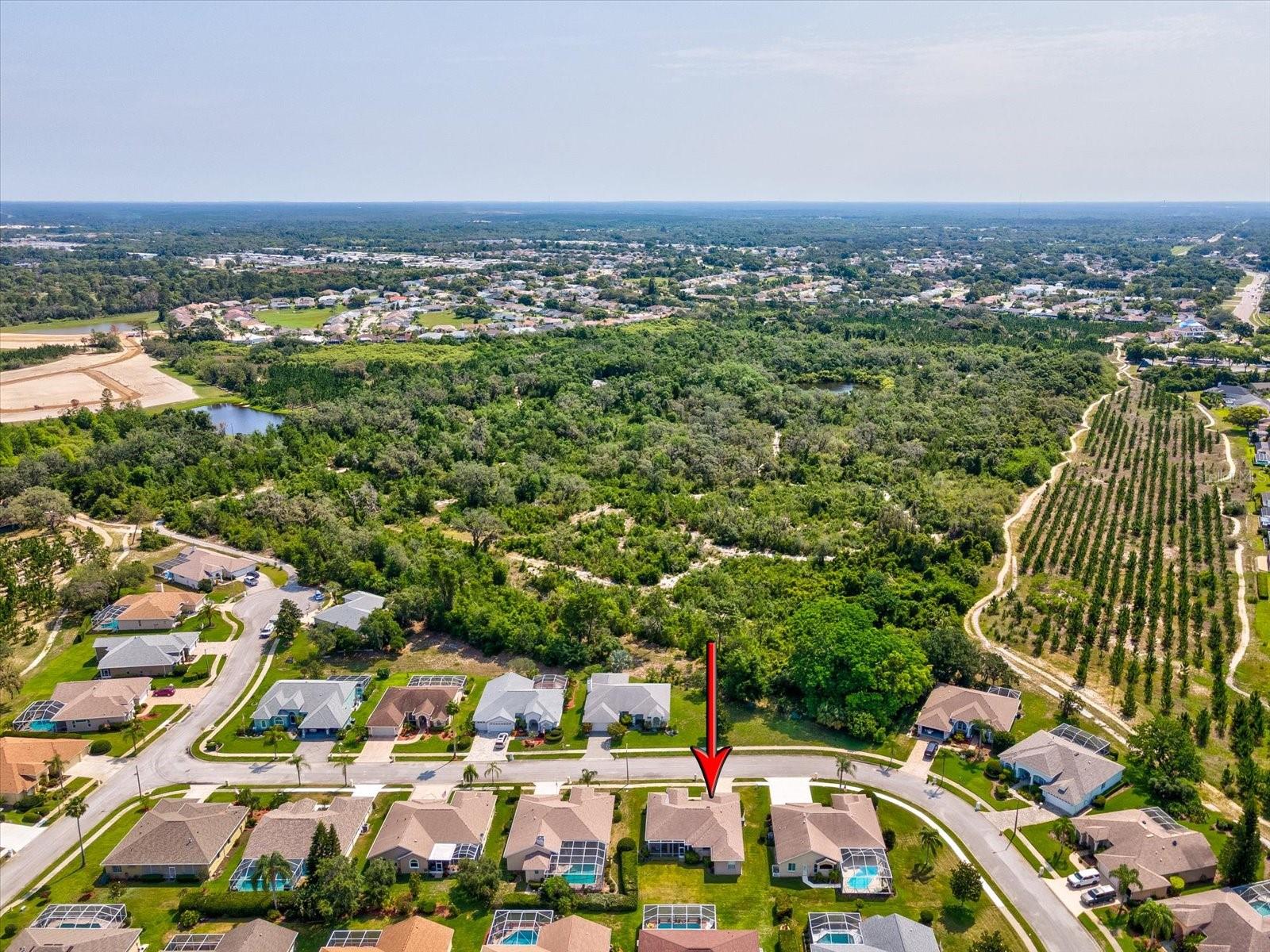 Image 48 of 75 For 13922 Talmage Loop