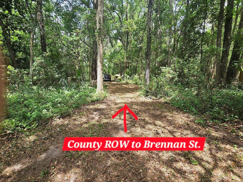 Image 23 of 30 For Brennan Street