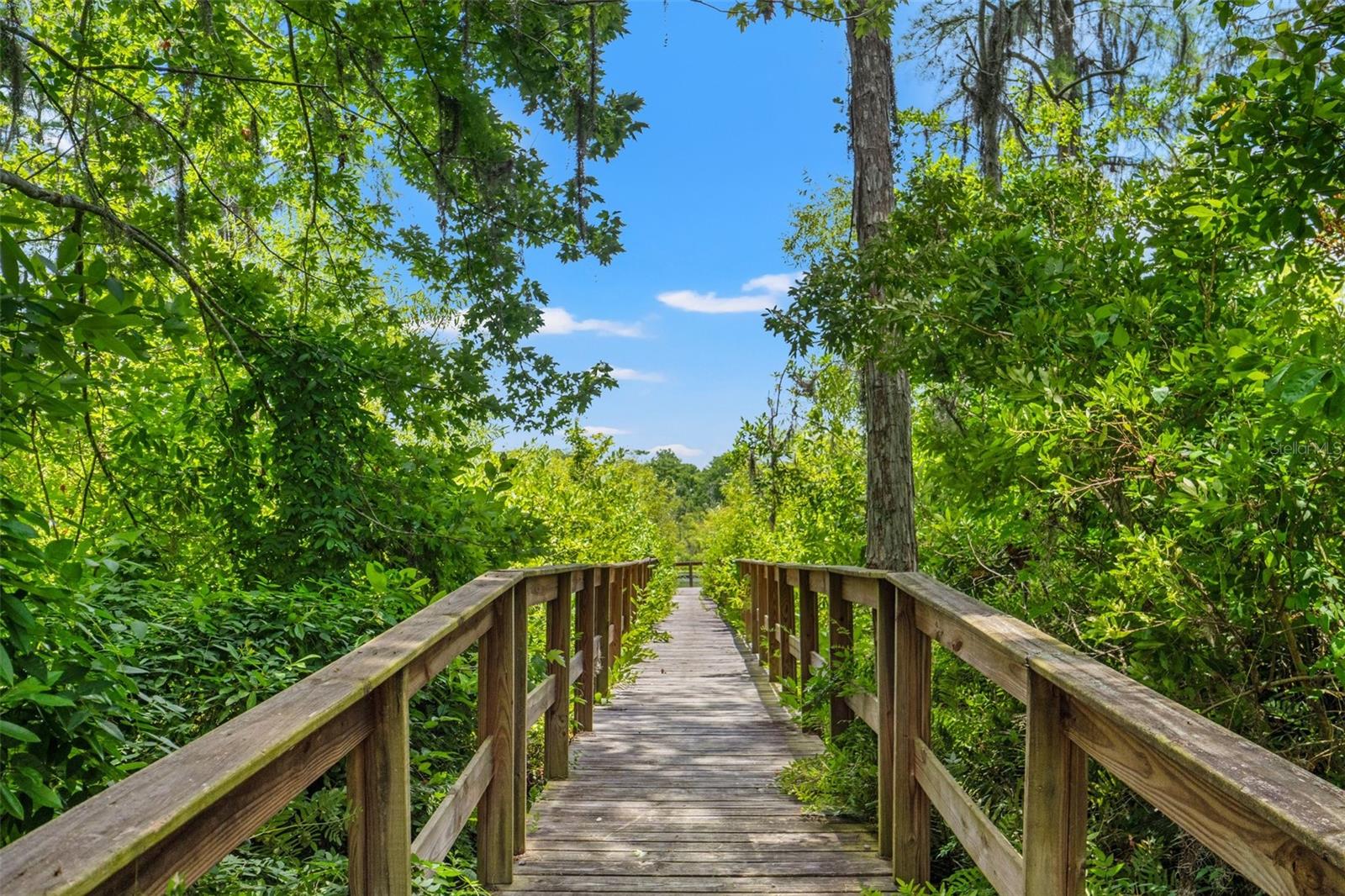 Listing photo id 8 for 11579 Weaver Hollow Road
