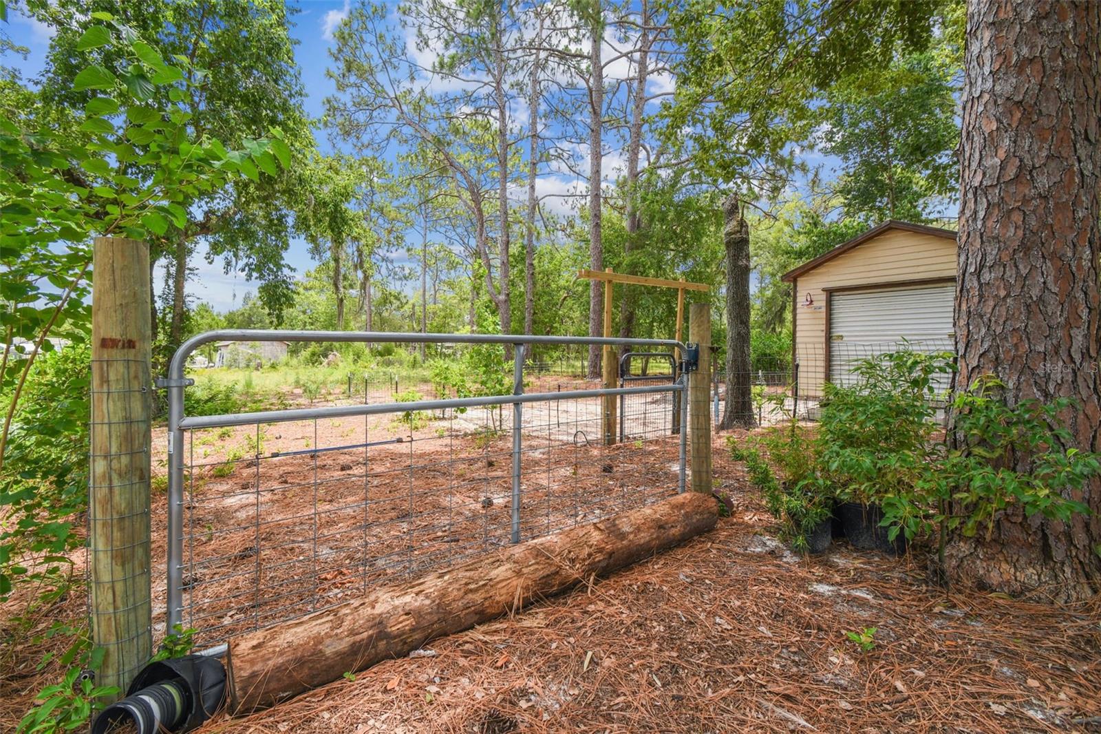 Listing photo id 34 for 7159 Straight Avenue