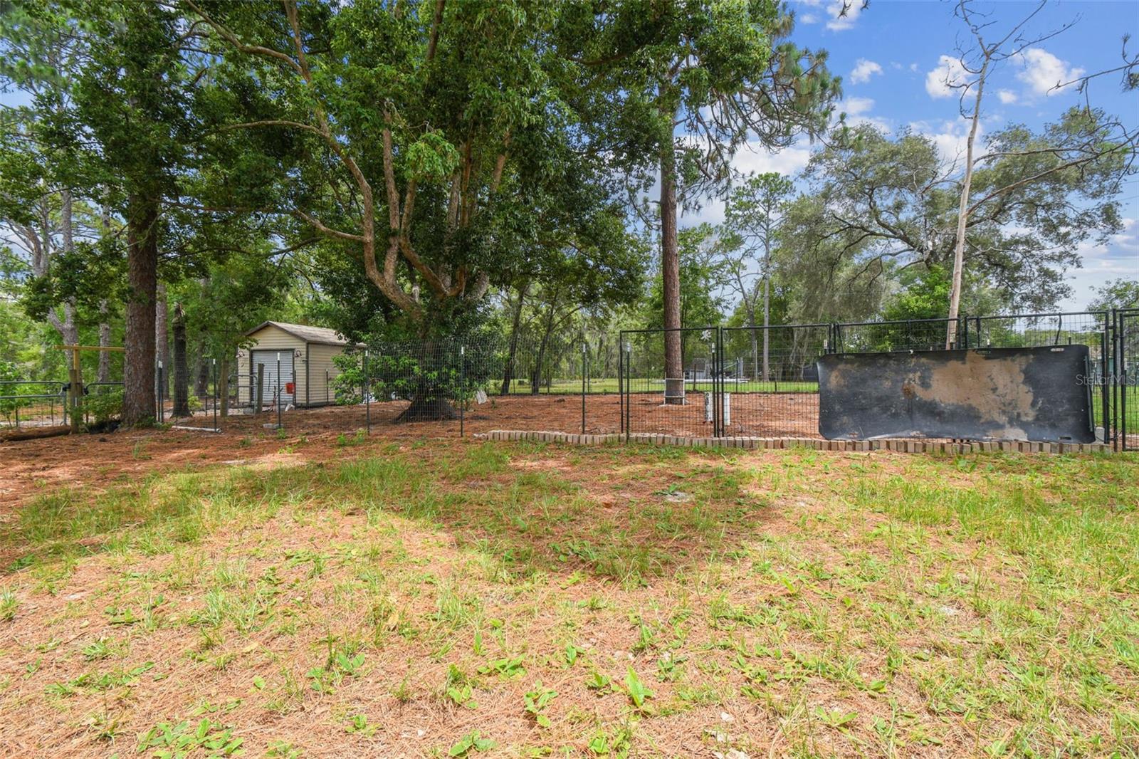 Listing photo id 35 for 7159 Straight Avenue