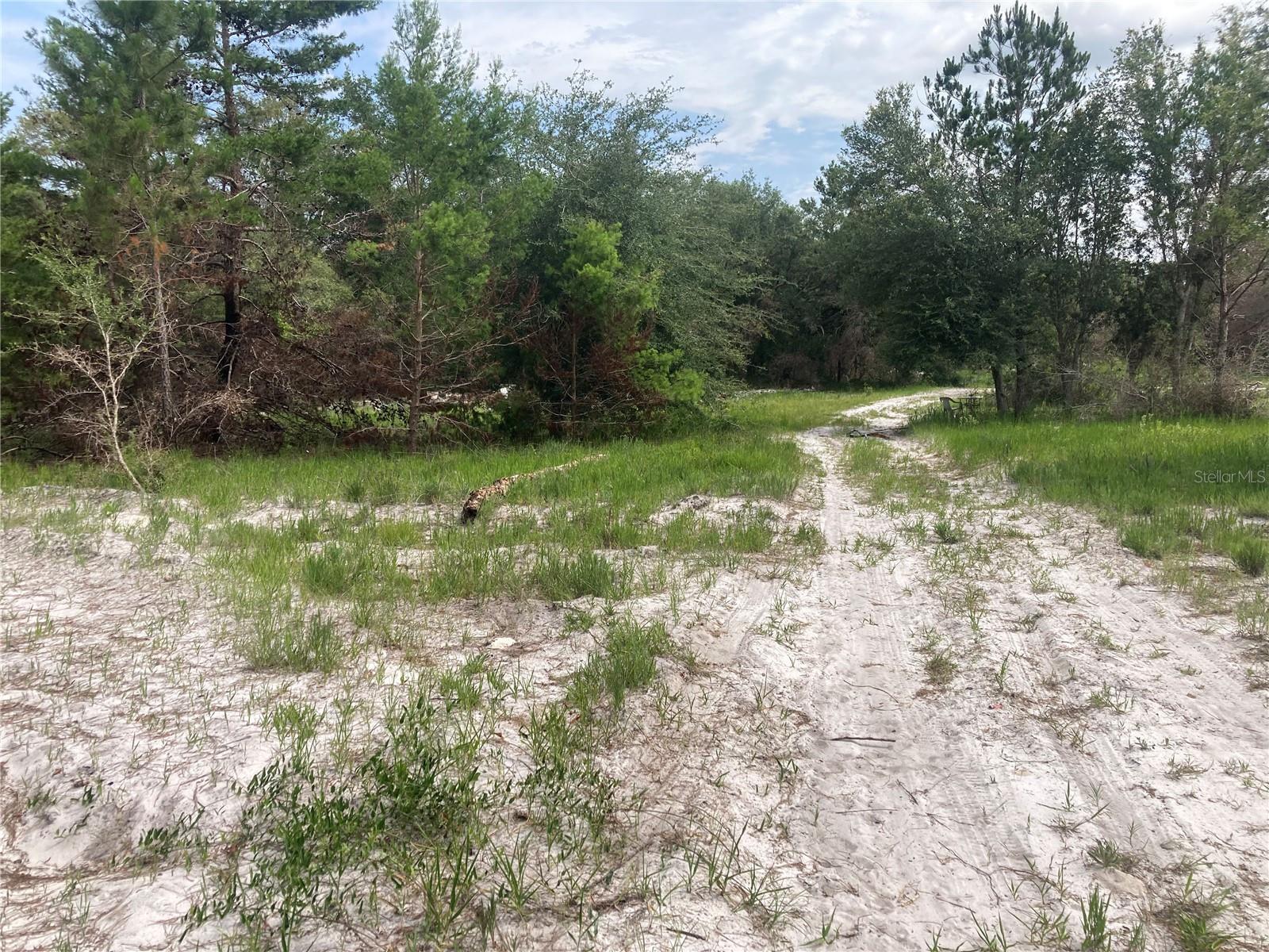 Image 2 of 3 For 12643 Placid Road