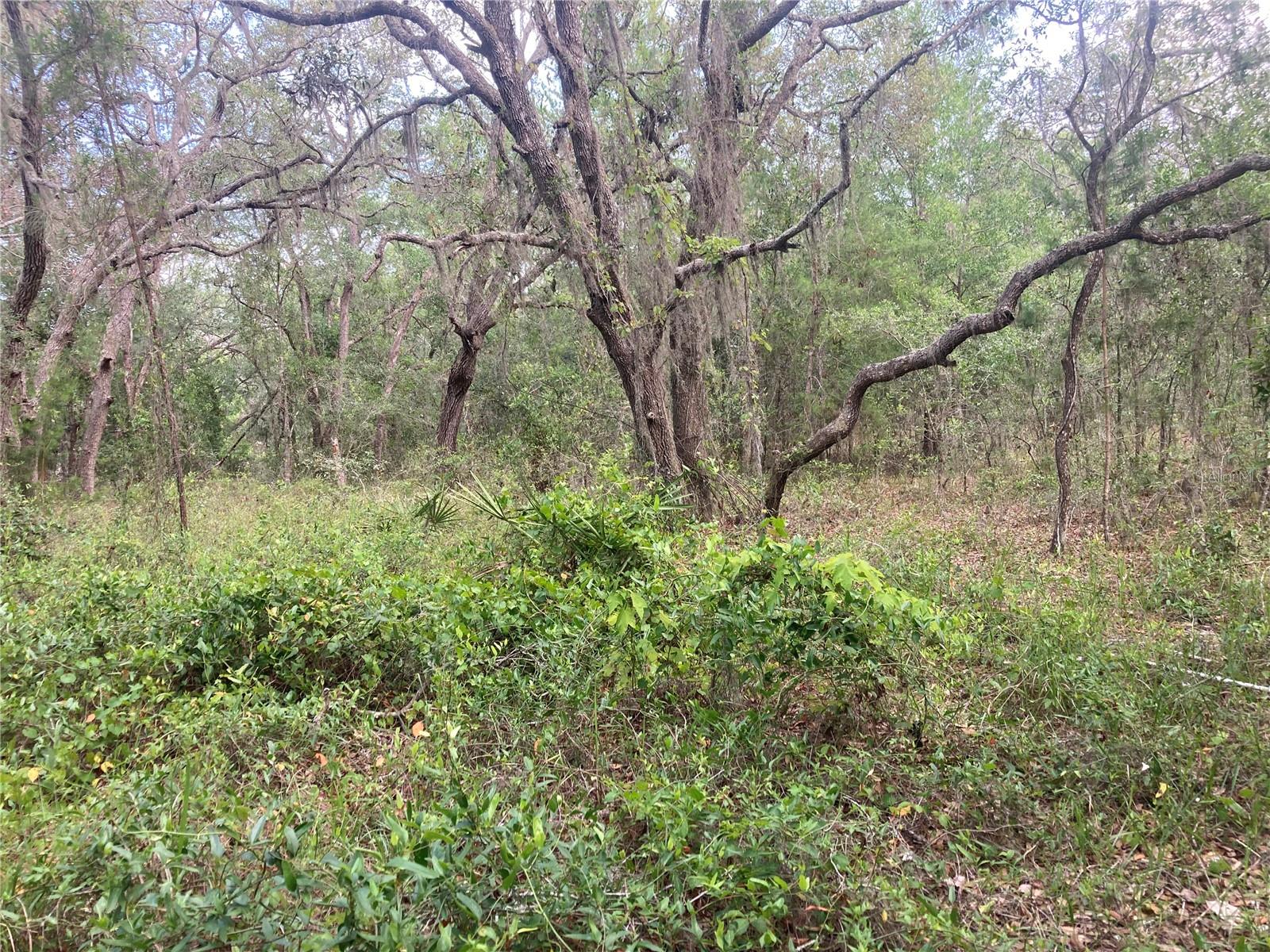 Image 3 of 3 For 12643 Placid Road