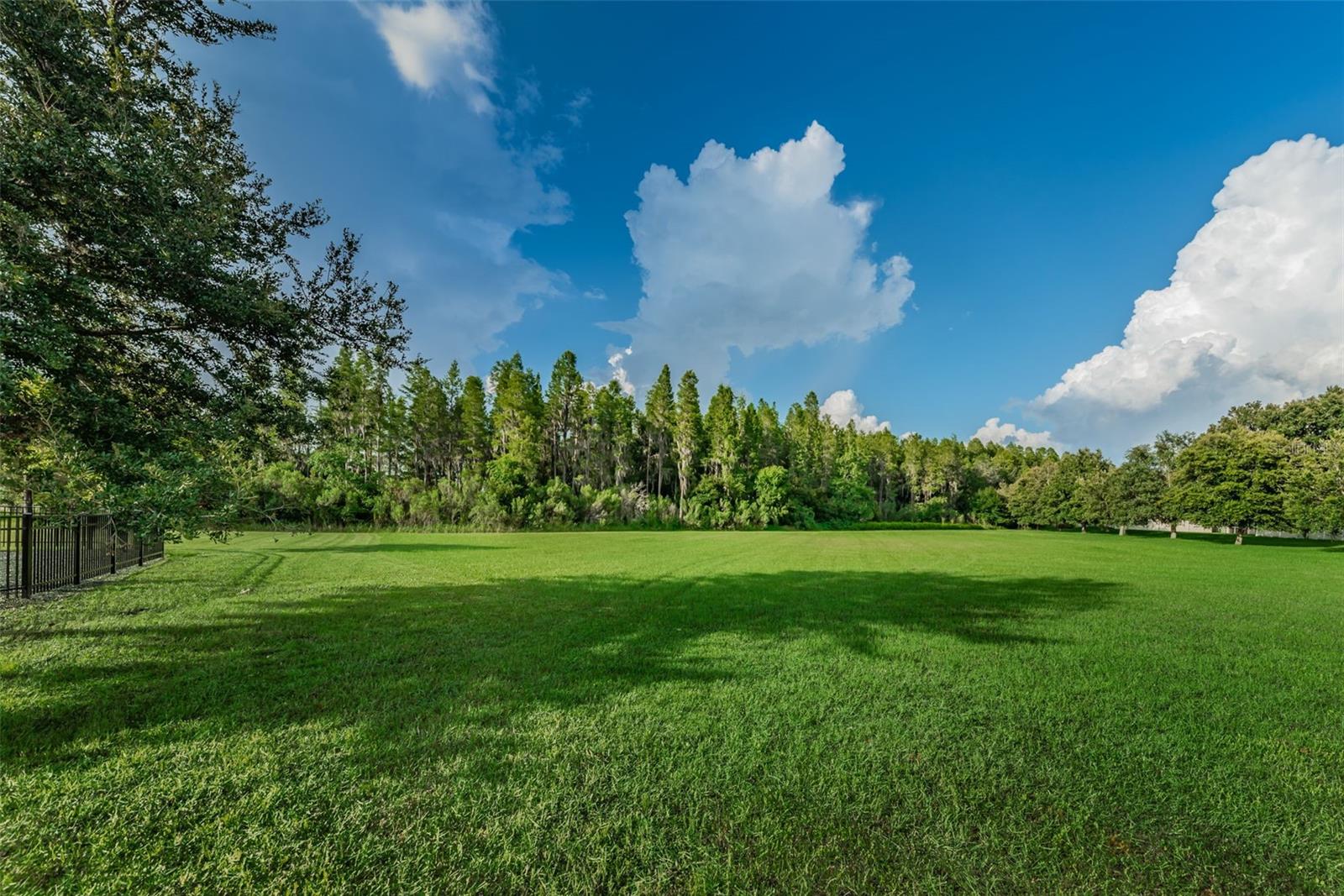 Image 45 of 52 For 1236 Ketzal Drive