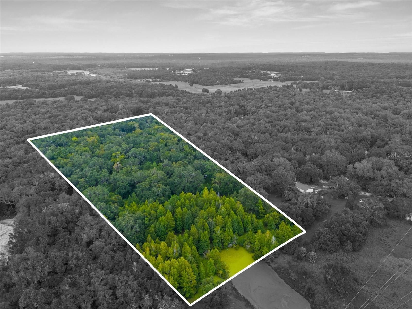 Image 2 of 11 For Rain Forest Road