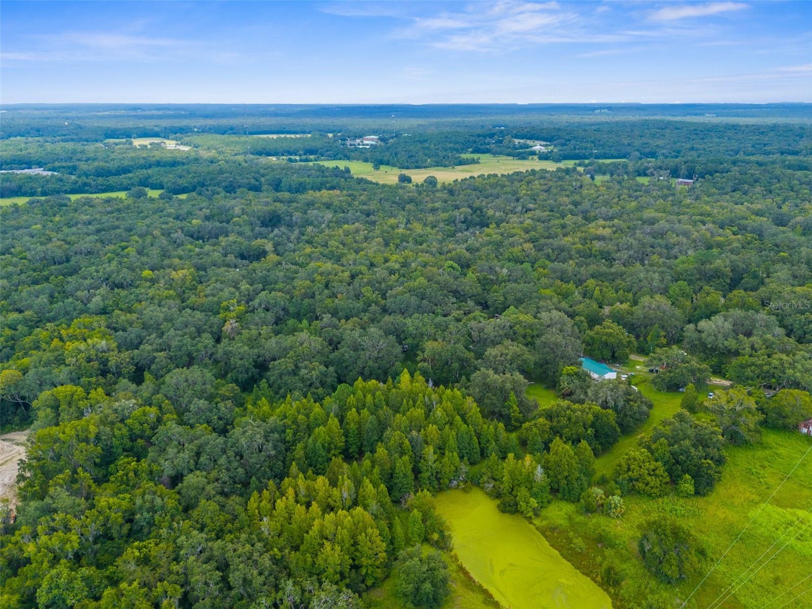 Image 4 of 11 For Rain Forest Road