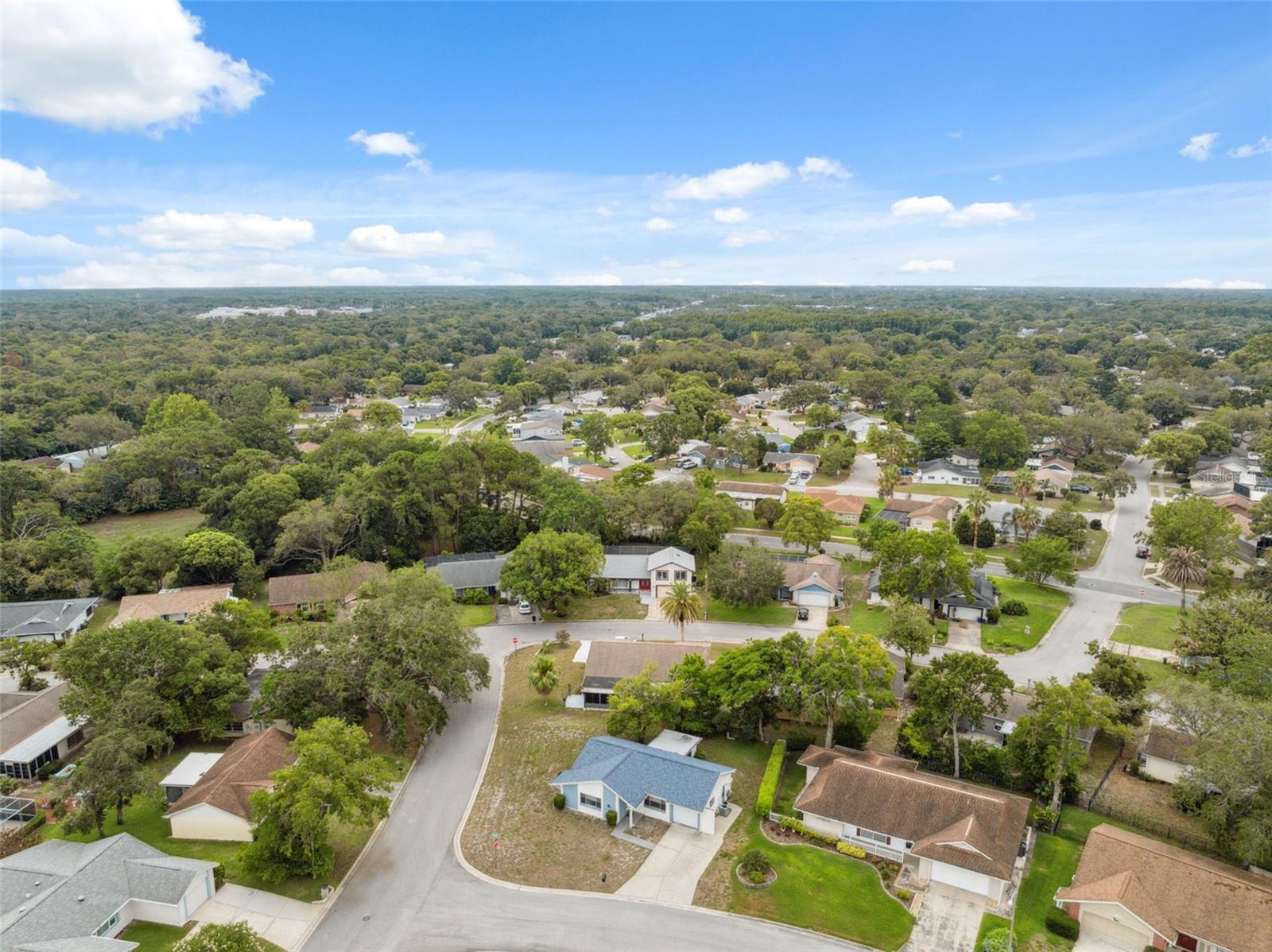 Image 6 of 43 For 13001 Sawmill Way
