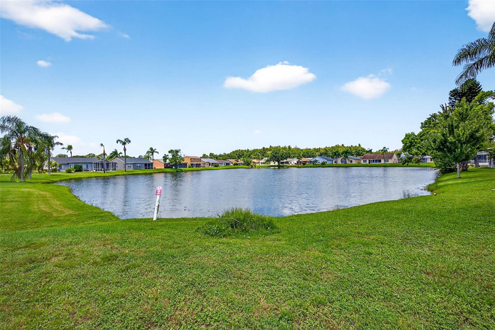 Listing photo id 43 for 7923 Woburn Street