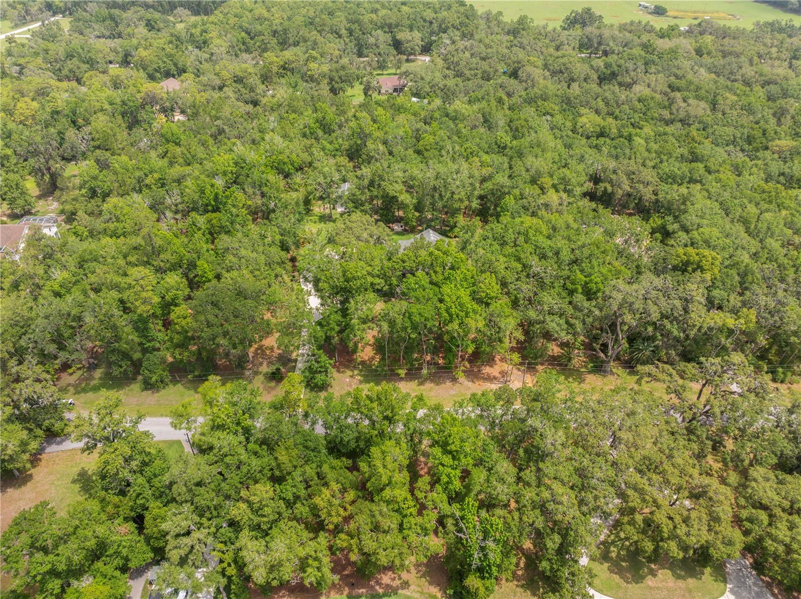 Listing photo id 88 for 27091 Country Oak Drive