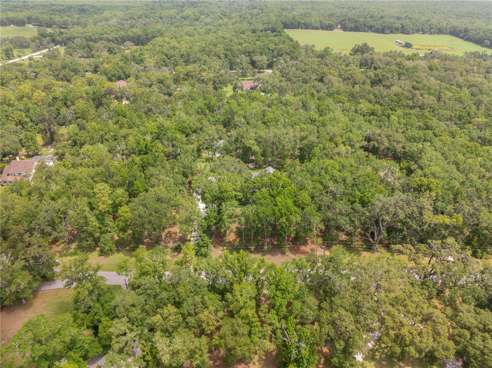 Listing photo id 89 for 27091 Country Oak Drive