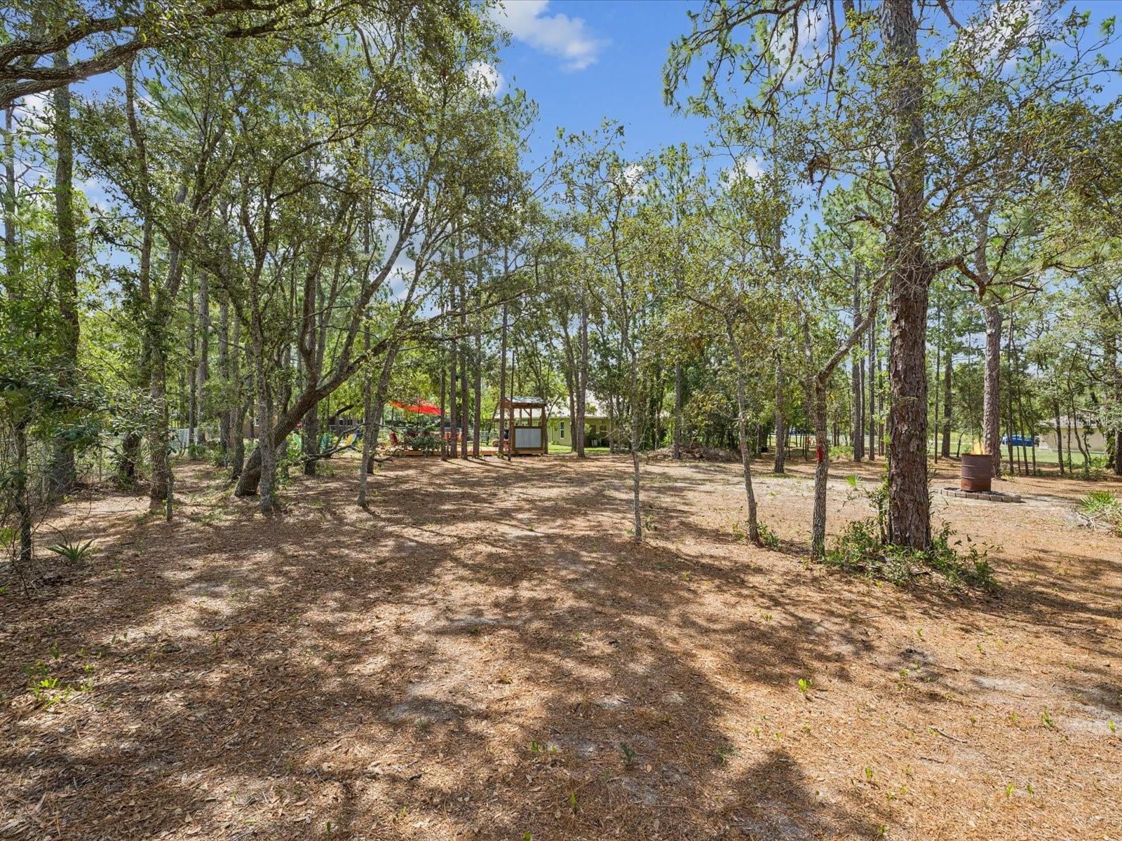 Image 44 of 64 For 12229 Barnevelde Road