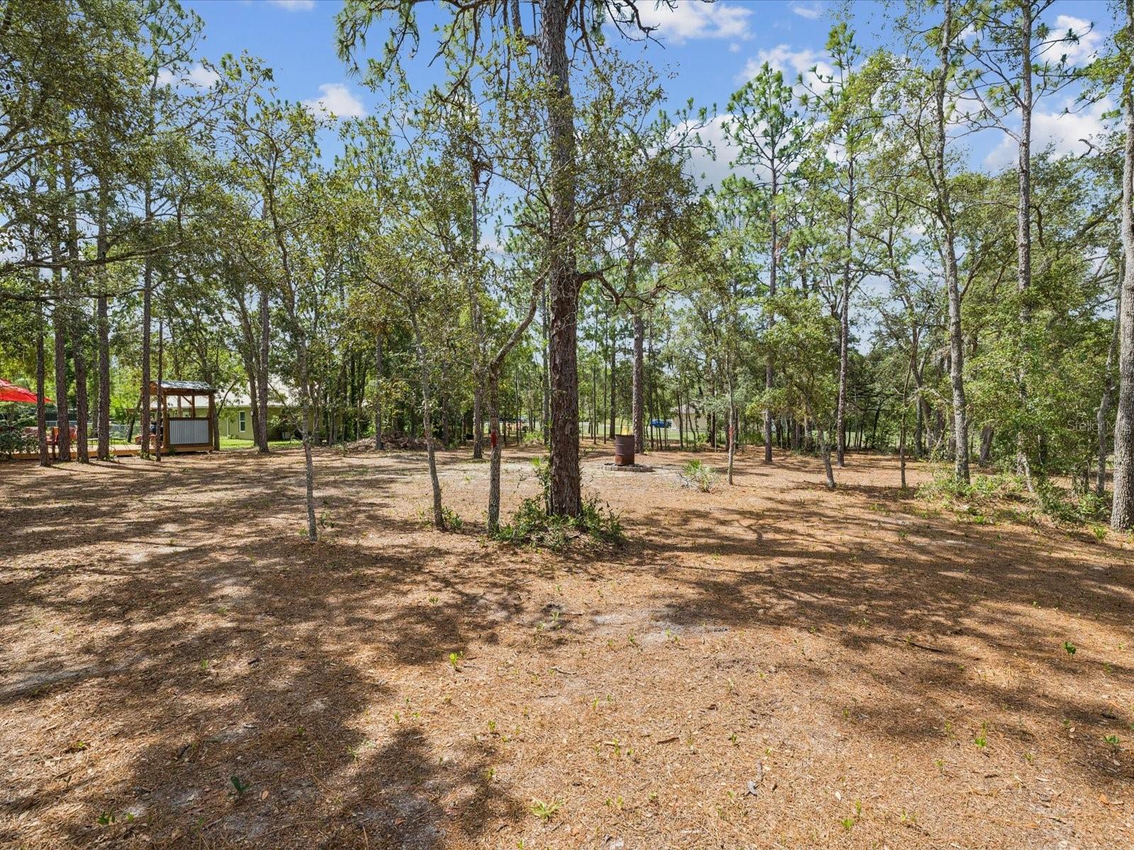 Image 45 of 64 For 12229 Barnevelde Road
