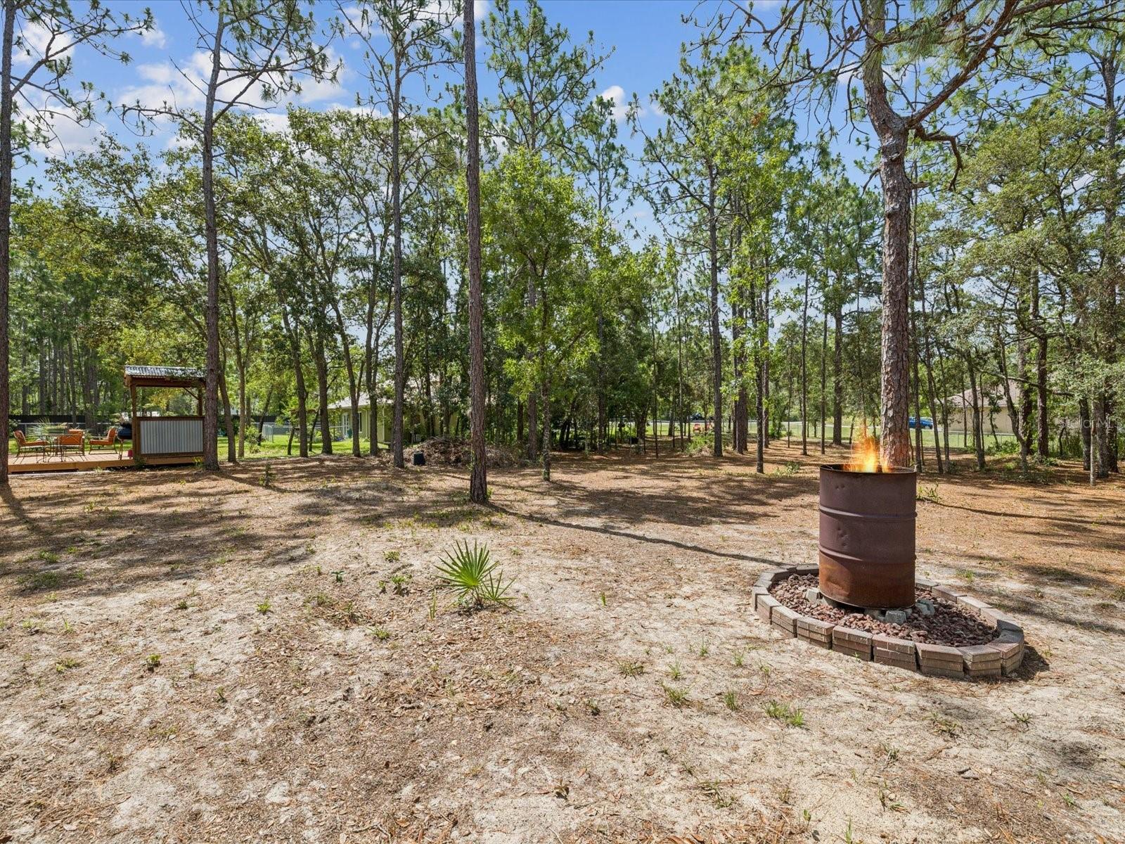 Image 46 of 64 For 12229 Barnevelde Road