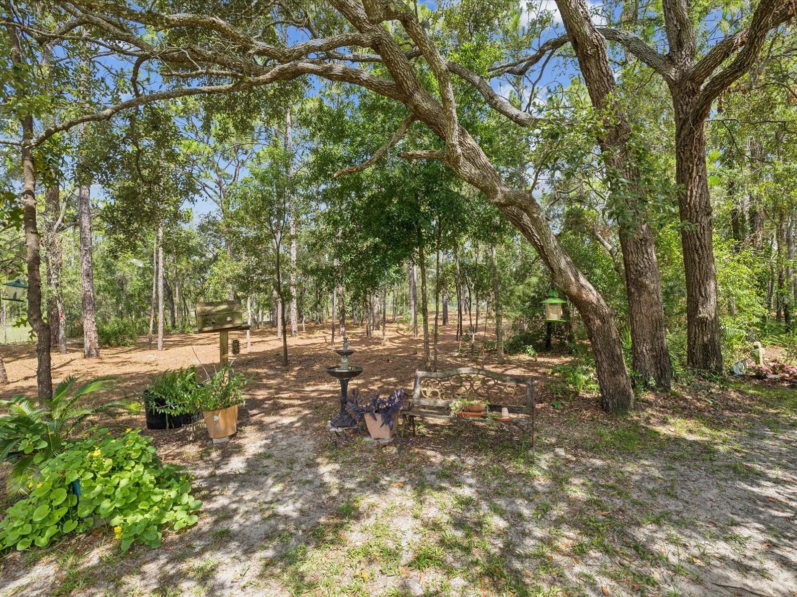 Image 47 of 64 For 12229 Barnevelde Road
