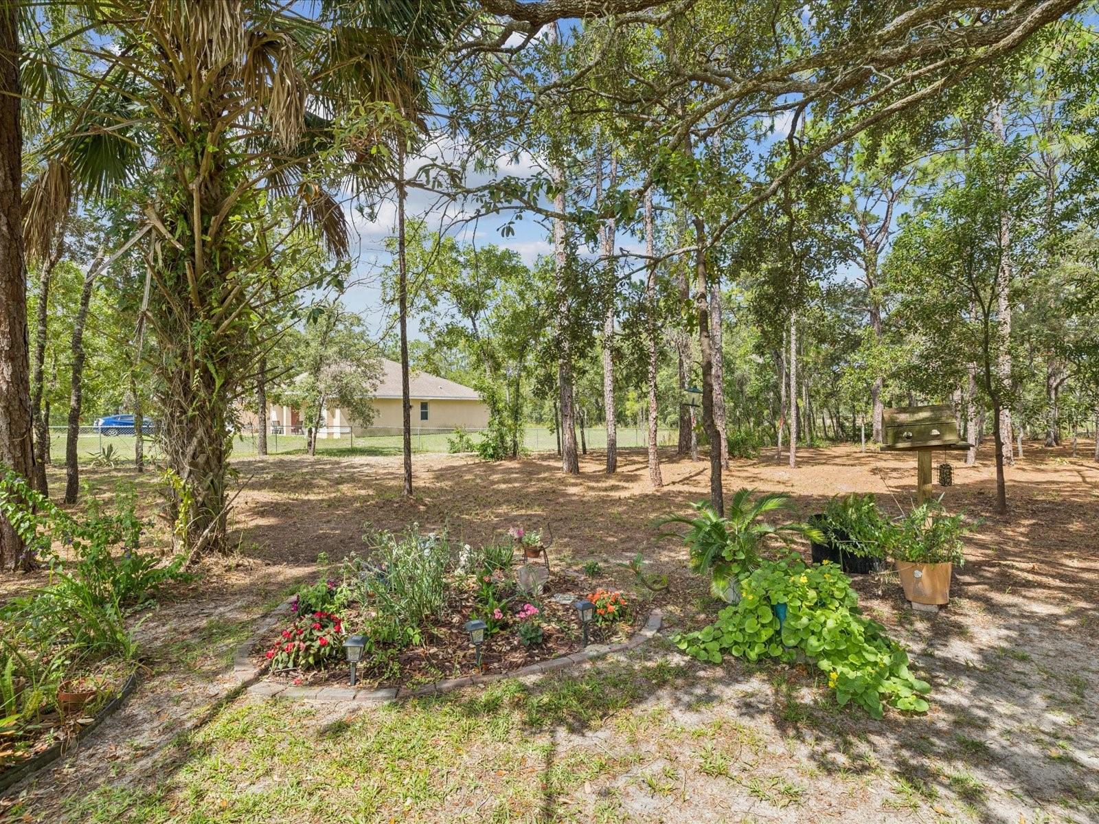 Image 48 of 64 For 12229 Barnevelde Road