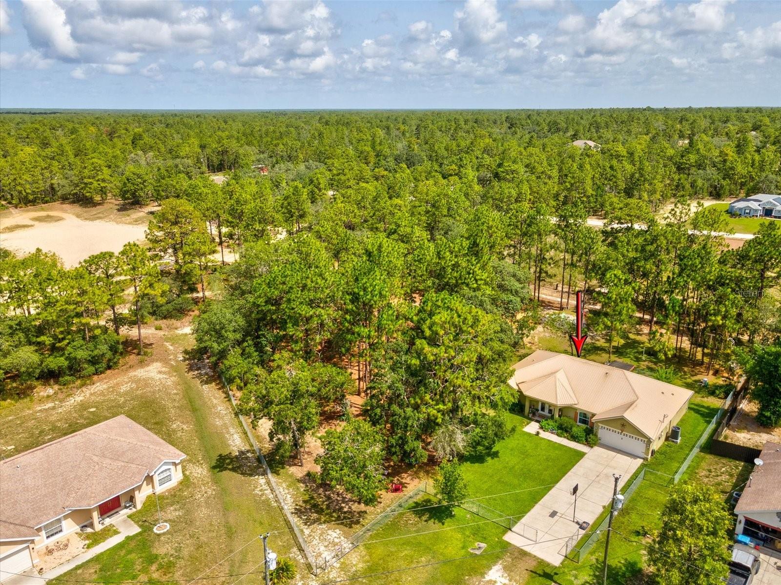 Image 64 of 64 For 12229 Barnevelde Road