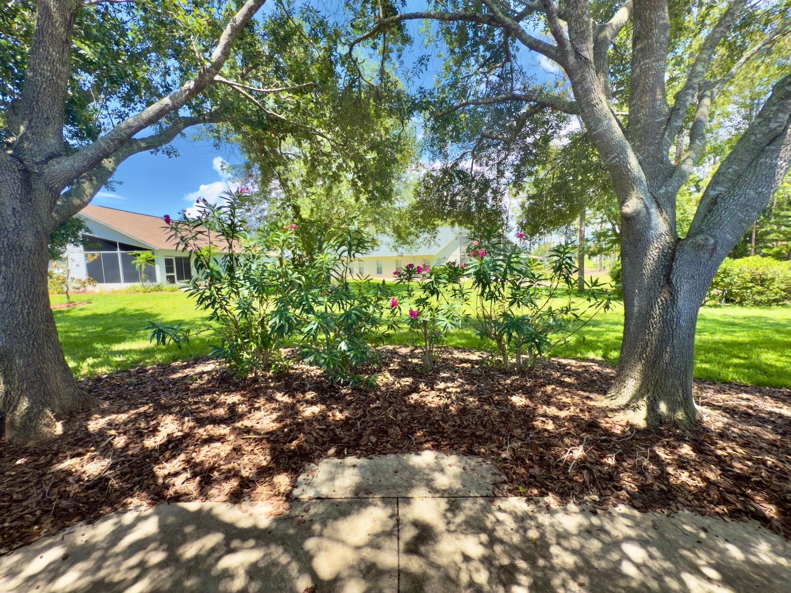 Image 36 of 64 For 18142 Baywood Forest Drive