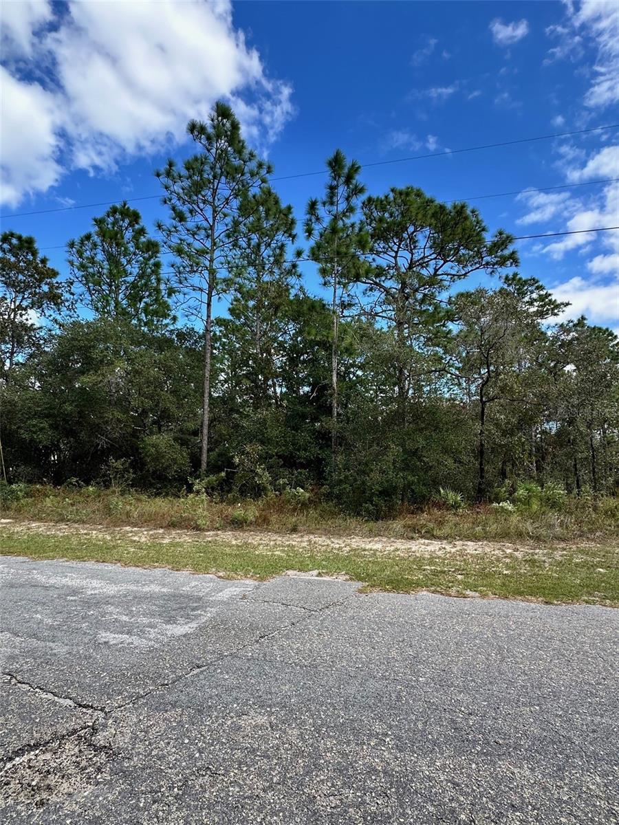 Image 2 of 3 For 7181 Regent Terrace