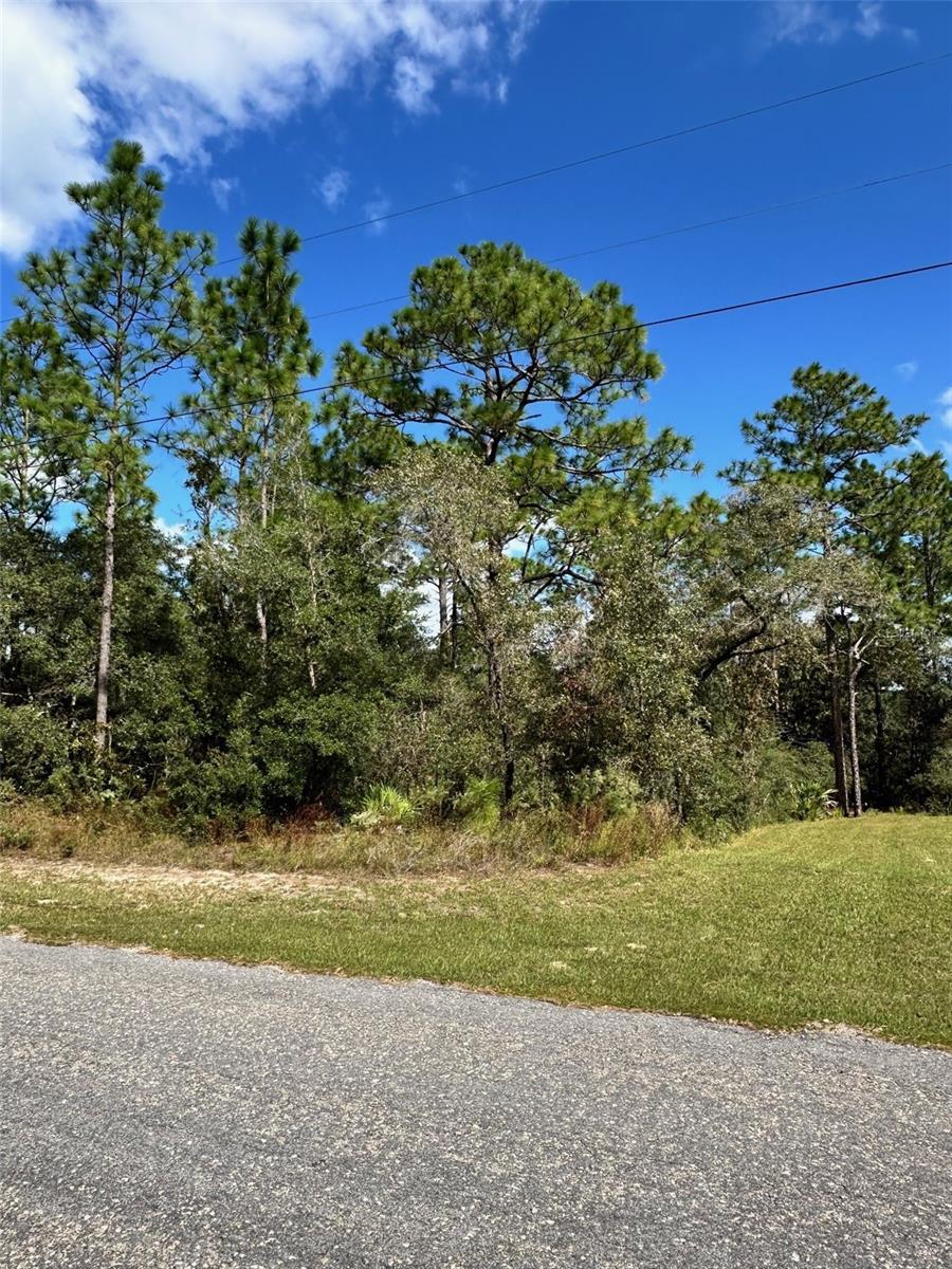 Image 3 of 3 For 7181 Regent Terrace