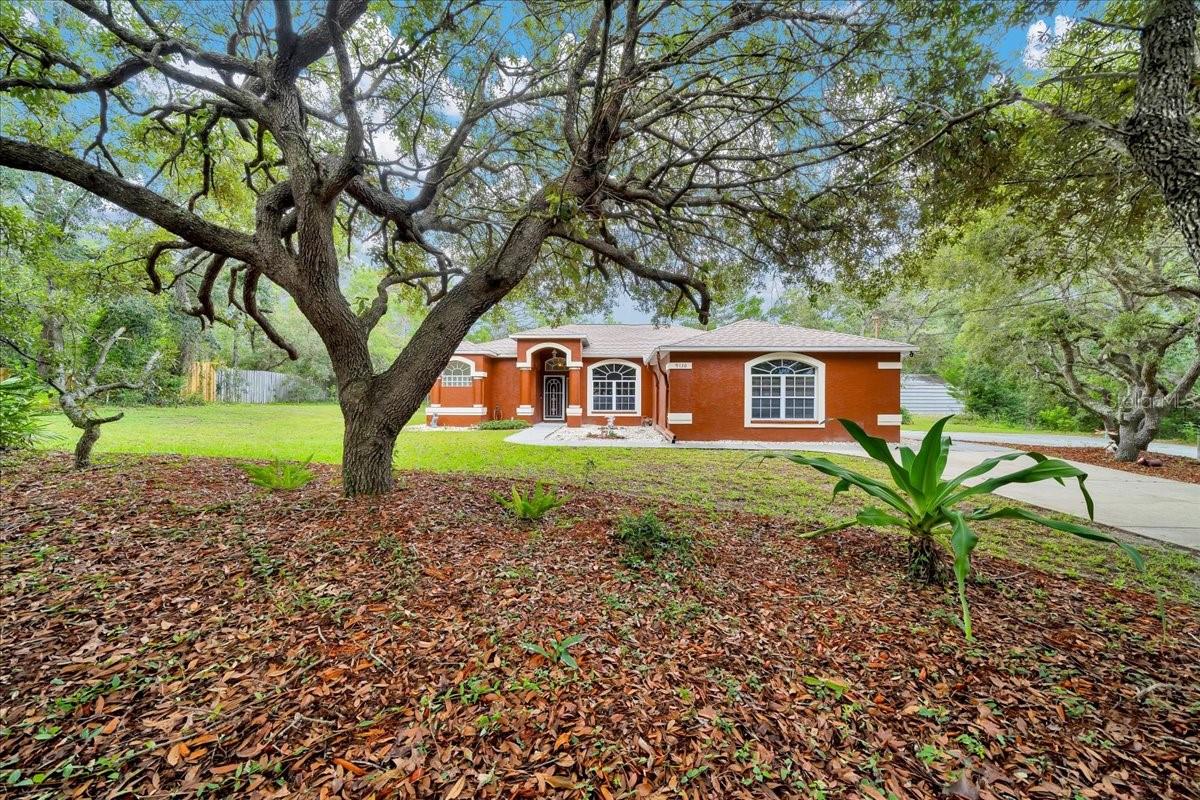 Image 3 of 61 For 9130 Madrid Road