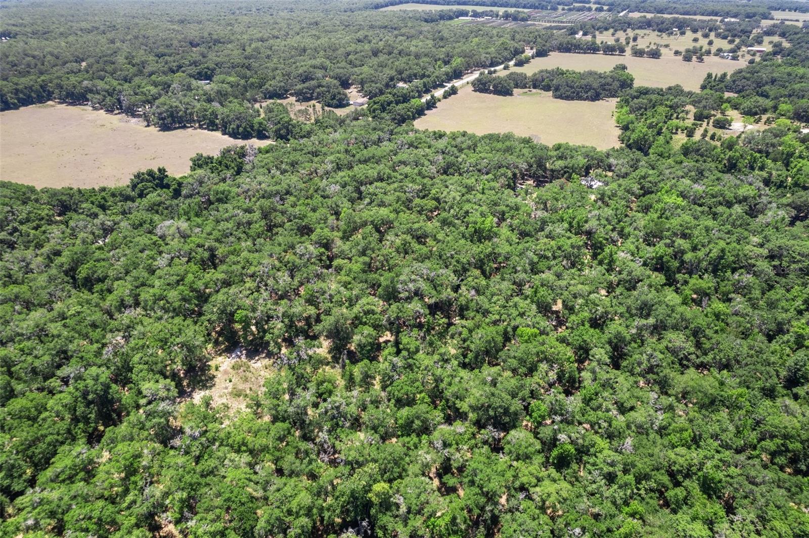 Details for 11426 Pleasant Grove Road, FLORAL CITY, FL 34436